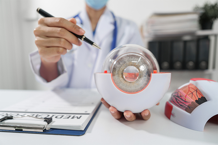 Formation et parcours académique pour devenir optométriste ​