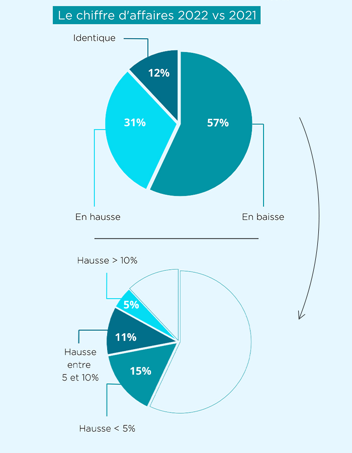 Un chiffre d'affaires en recul pour 2022